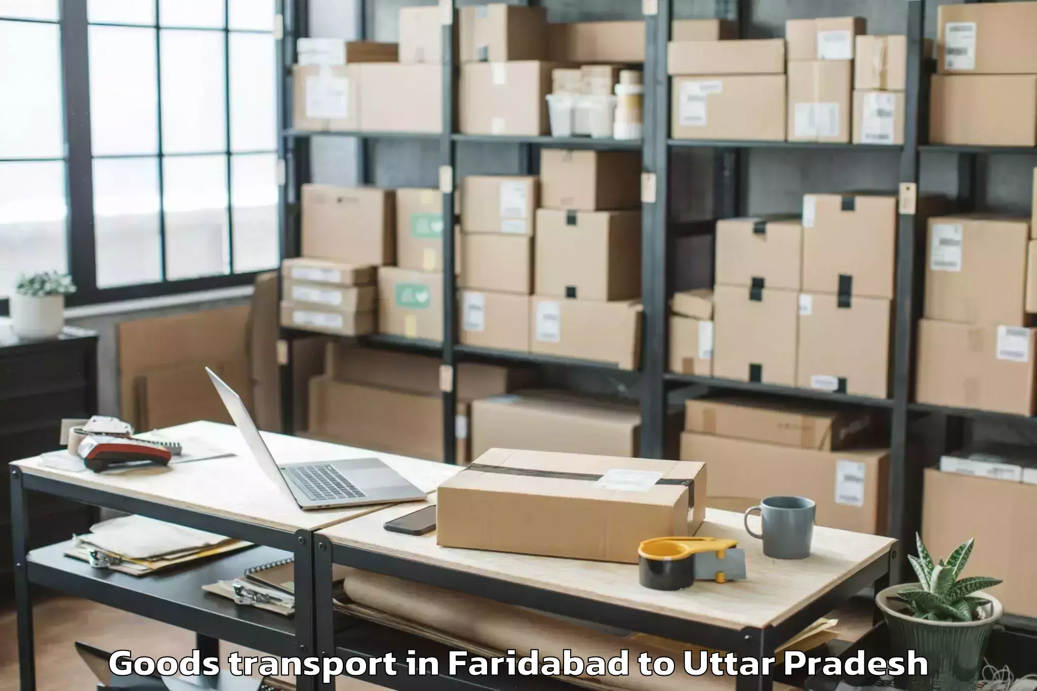 Expert Faridabad to Gonda Goods Transport